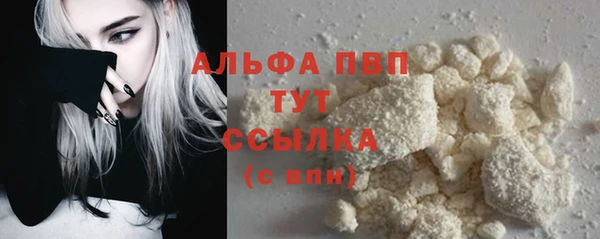 индика Верея