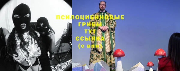 индика Верея