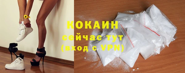 индика Верея