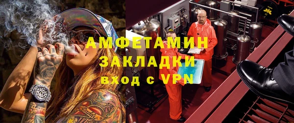 индика Верея