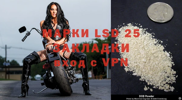 индика Верея