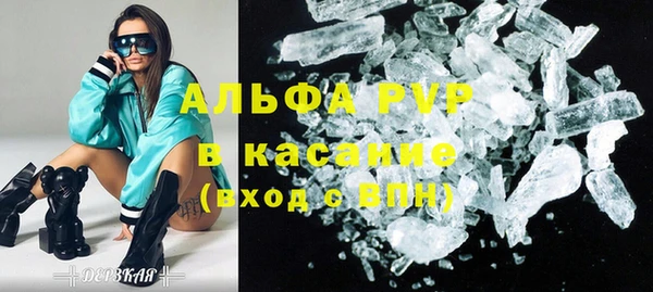 индика Верея