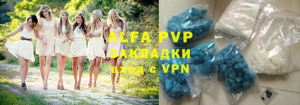 индика Верея