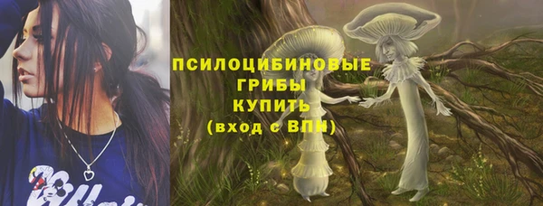 индика Верея
