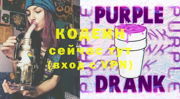 индика Верея