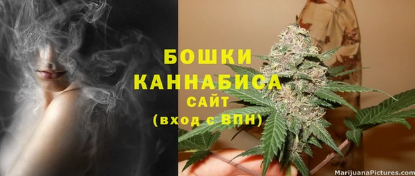индика Верея