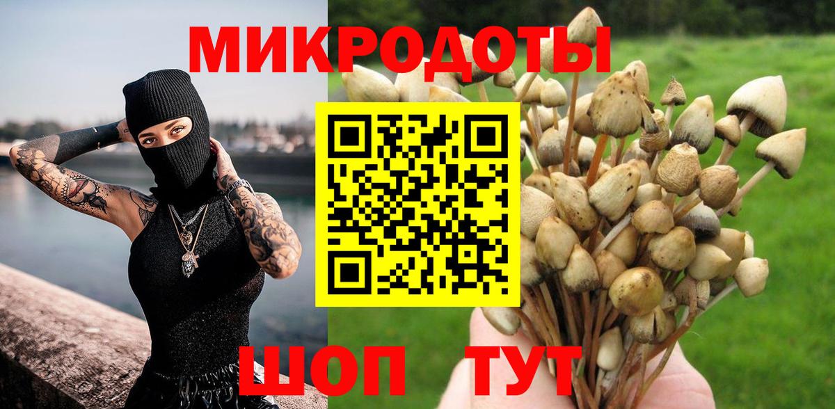 Мончегорск  Псилоцибиновые грибы Magic Shrooms  Вход с VPN 