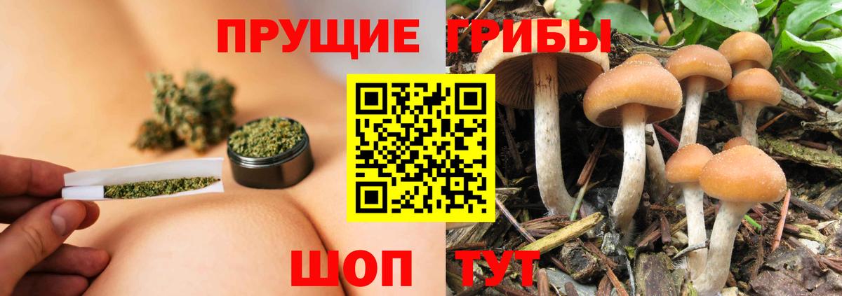 Псилоцибиновые грибы мухоморы Мончегорск